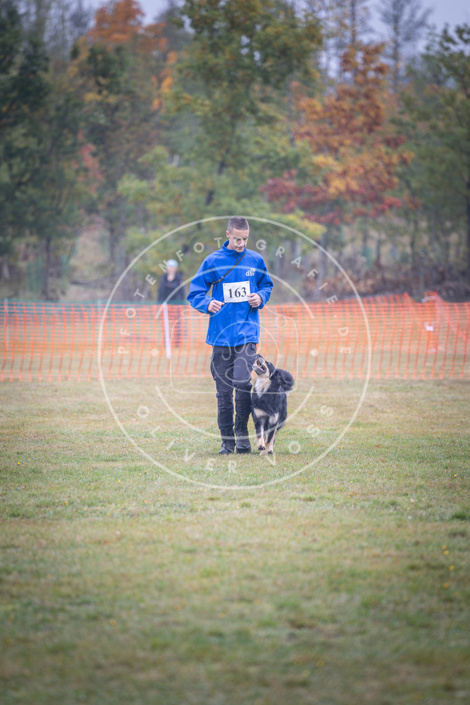 Pfotenfotografie_DV3A8863 | Hundefotografie, Tierfotograf, Pfotenfotografie, Fotoshooting Hund, Hunde Portrait, Hundesport, Hundeportraits, Heideshooting, Hunde, Sportfotograf, Hundefotograf, Turnierhundsport, THS,  - Realisiert mit Pictrs.com
