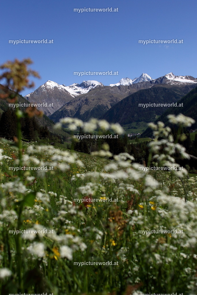 Arnig-002 | Blick auf Großglockner - Realisiert mit Pictrs.com
