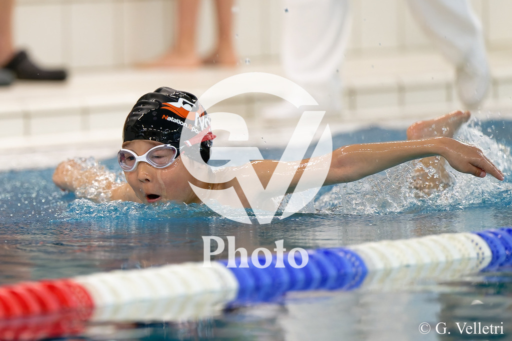 DSC_9389 | Velletri Photo