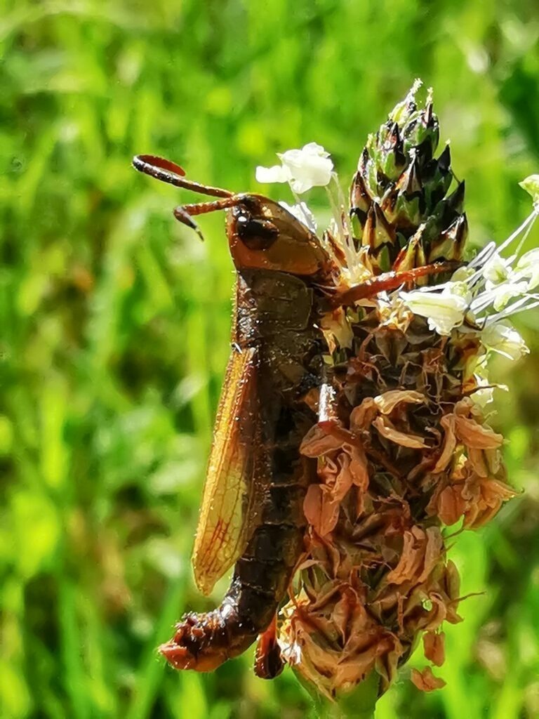 PSX_20220716_233309 | mtkfoto_ - Realisiert mit Pictrs.com