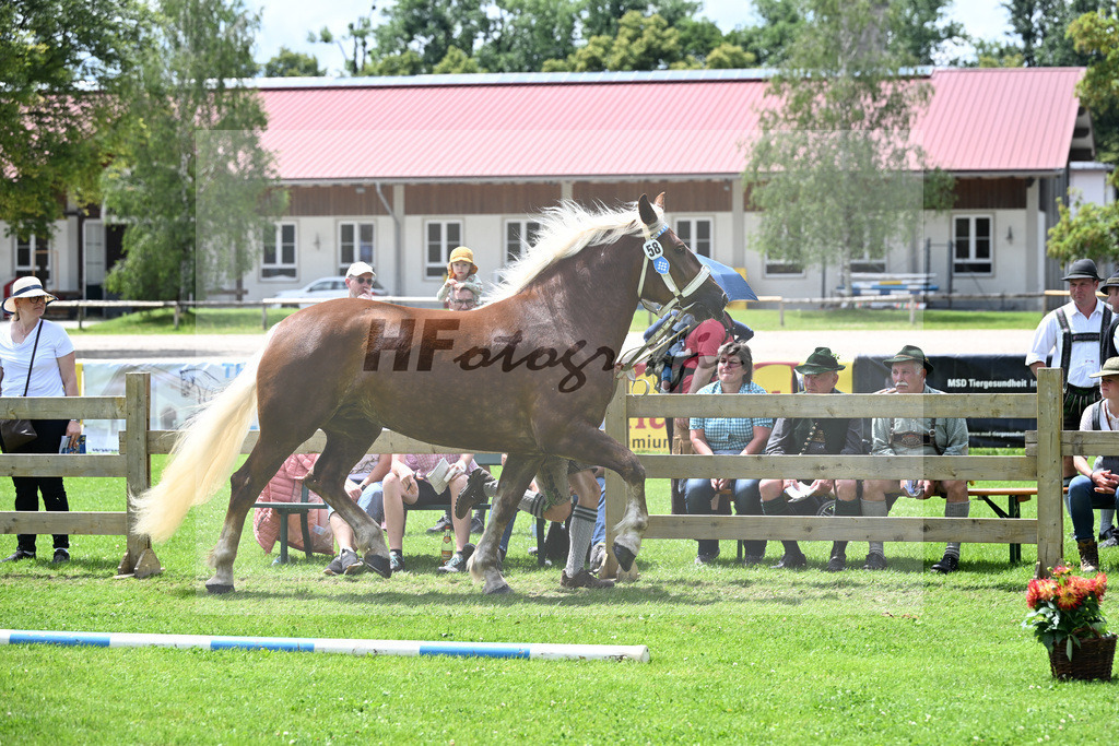 Kat-Nr. 58 Pina v. Verondo_Huber_22241026 | hf-fotografie - Realizzato con Pictrs.com