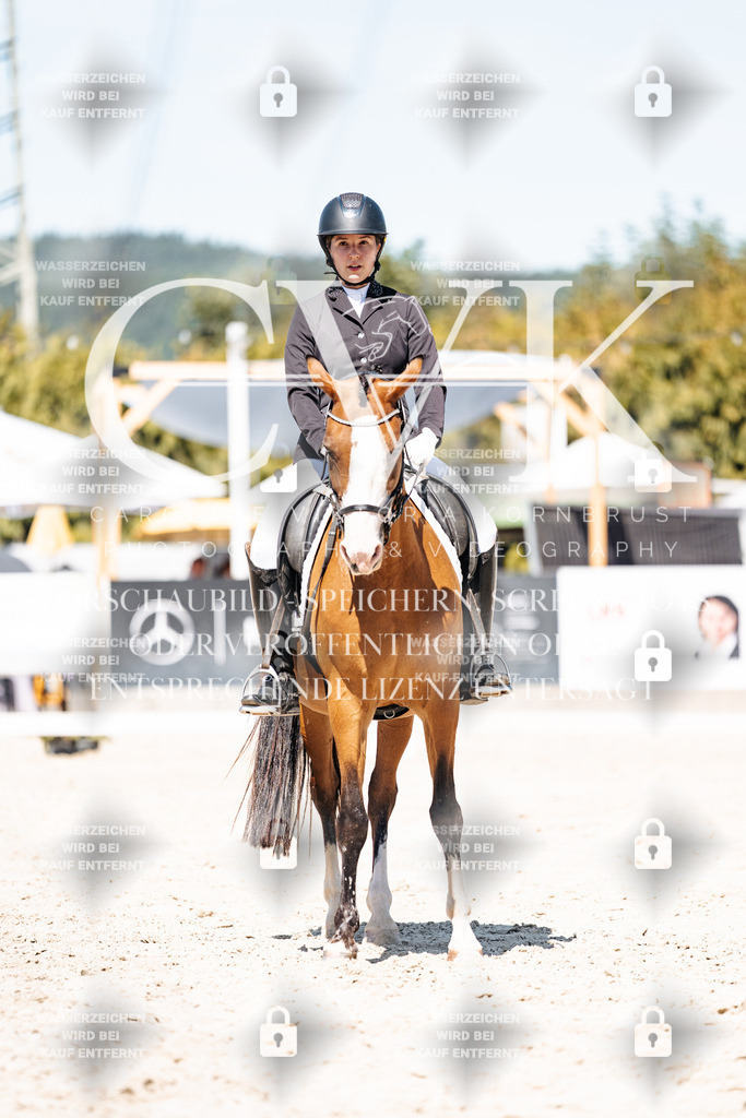 CK900228 | Turnierfotografie Pferdefotografie Trier Rheinland-Pfalz Pferdesport Reitsport Tierfotografie Sportfotografie Pferdevideo Pferdevideografie Equestrianvideography equestrianphotography  - Realisiert mit Pictrs.com