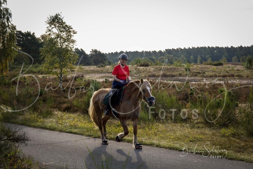 DdLH-TrotBy_2025-09-20_48 | Fotografie, Veranstaltungs-Fotografie, Pferde-Fotografie, Landschafts-Fotografie, Reise-Fotografie - Realisiert mit Pictrs.com
