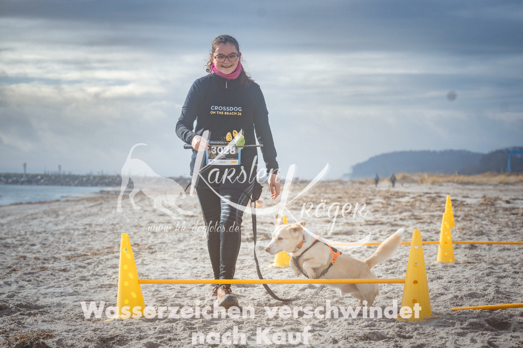 1121_ZZ97849 | kk-dogfotos