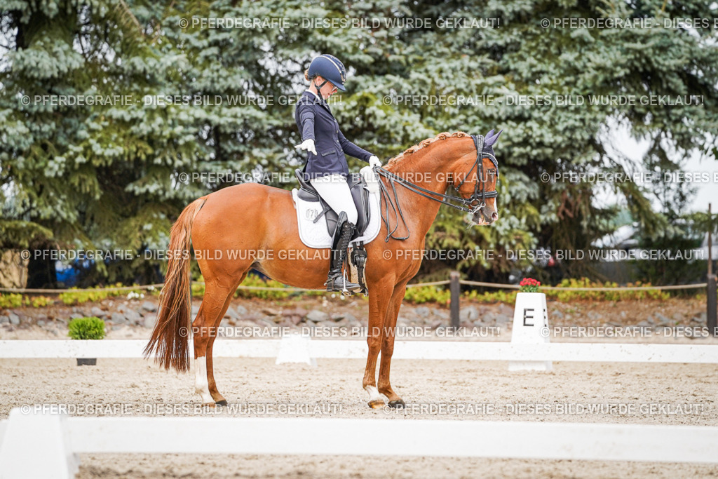 DSC07040 | Pferdegrafie