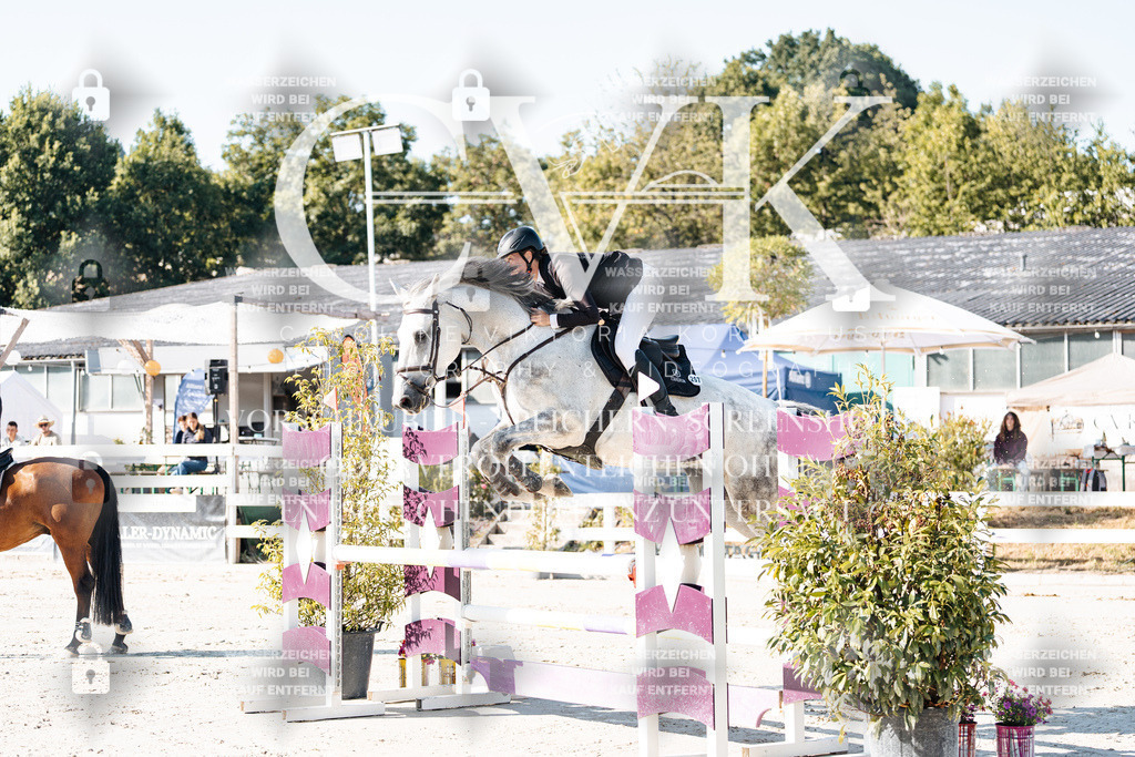 CK907543 | Turnierfotografie Pferdefotografie Trier Rheinland-Pfalz Pferdesport Reitsport Tierfotografie Sportfotografie Pferdevideo Pferdevideografie Equestrianvideography equestrianphotography  - Realisiert mit Pictrs.com