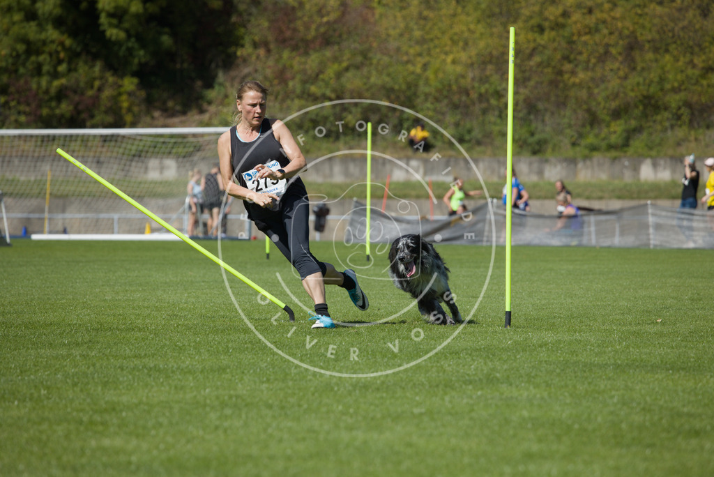0L8A6725 | Hundefotografie, Tierfotograf, Pfotenfotografie, Fotoshooting Hund, Hunde Portrait, Hundesport, Hundeportraits, Heideshooting, Hunde, Sportfotograf, Hundefotograf, Turnierhundsport, THS,  - Realisiert mit Pictrs.com