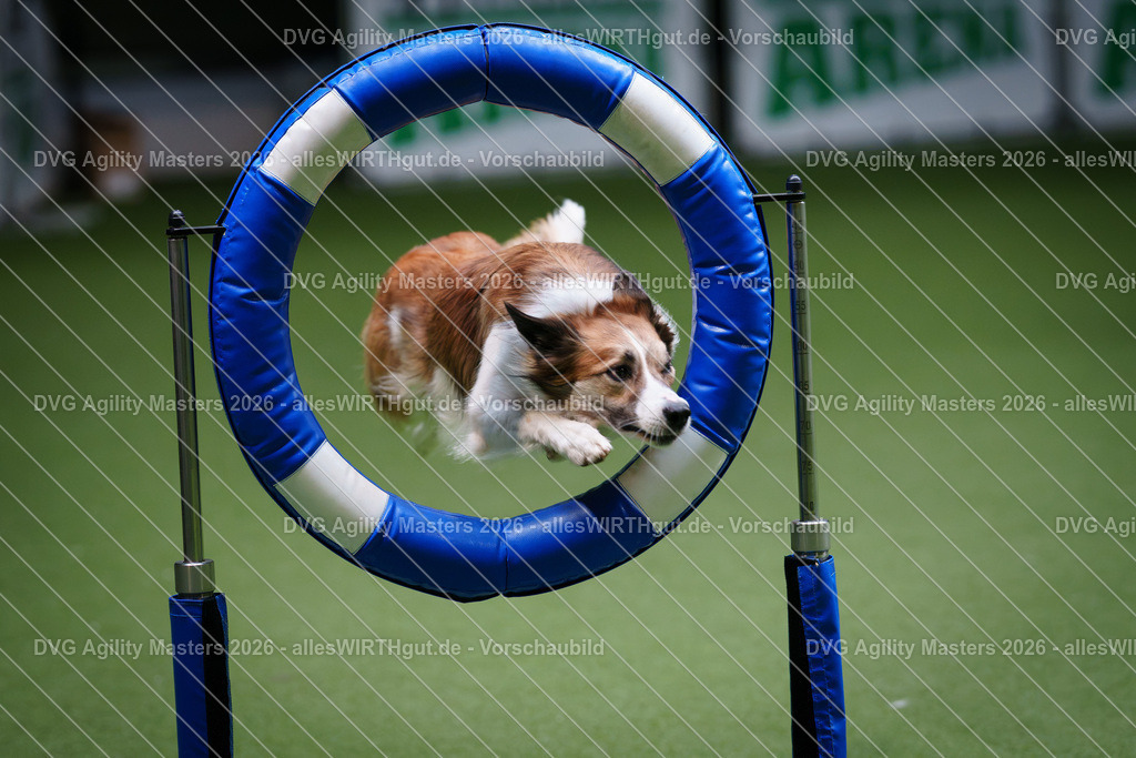 allesWIRTHgut_Tierfotografie-DVG_Agility_Masters_2026-10_57-7R500897 | Professionelle Tierfotografie in Mönchengladbach von Daniel Wirth (allesWIRTHgut). Liebevolle & natürliche Bilder von Hunden & Katzen für unvergessliche Erinnerungen.