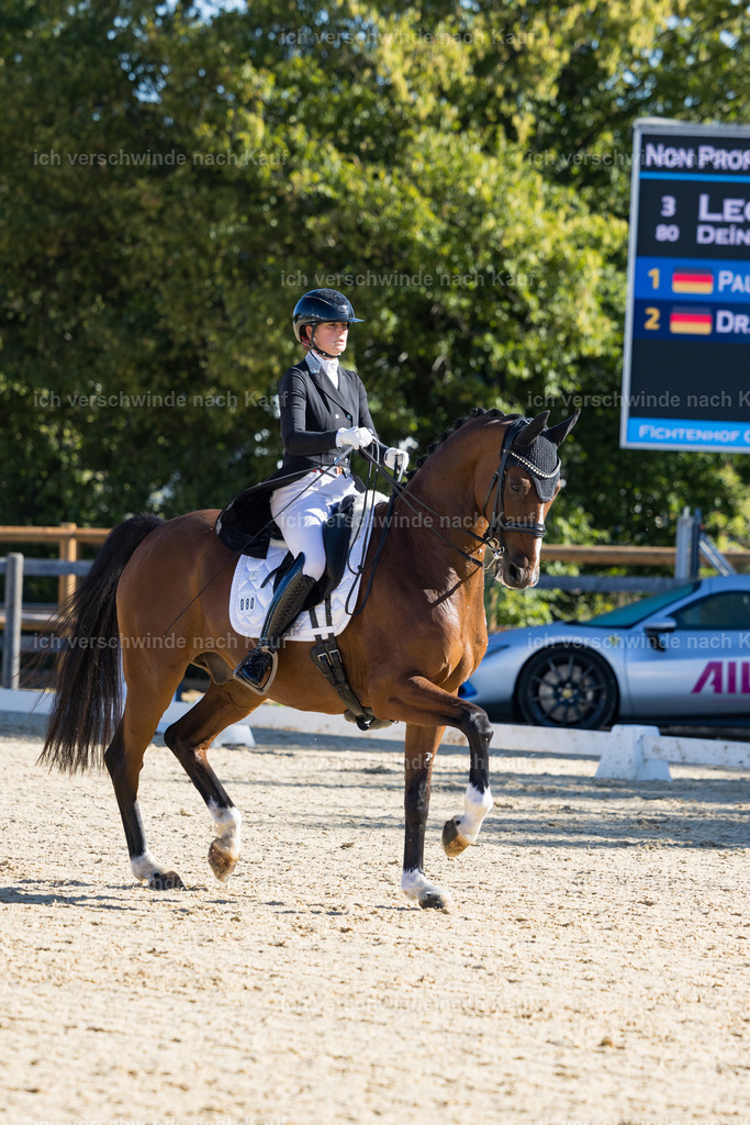FHC2026_P07_80_17408 | working equitationturnier fotograf videograf stoibphotography marixx film working equitation deutschland reitsport turnierfotografie eventfotografie equestrian events