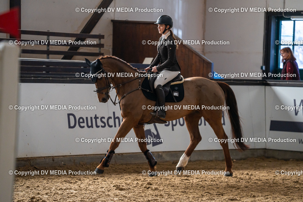 Kranichstein Tag 2-755 | dv-media-shop - Realisiert mit Pictrs.com