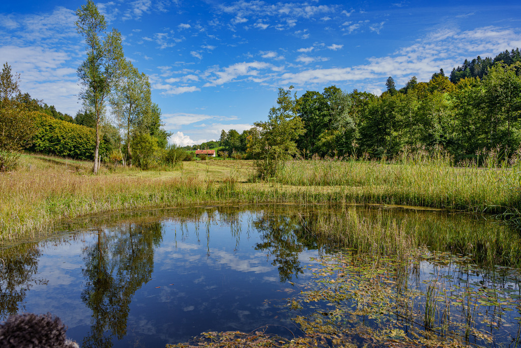 2022_09_07 A7403823 | bridgeman - Realisiert mit Pictrs.com