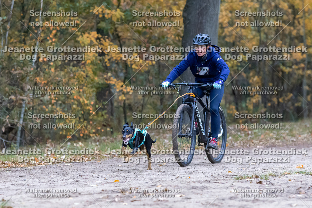 Dog Paparazzi - SD CaniX Championship 2025-280 | Dog Paparazzi Jeanette Grottendiek Fotografie & Videografie - Realisiert mit Pictrs.com