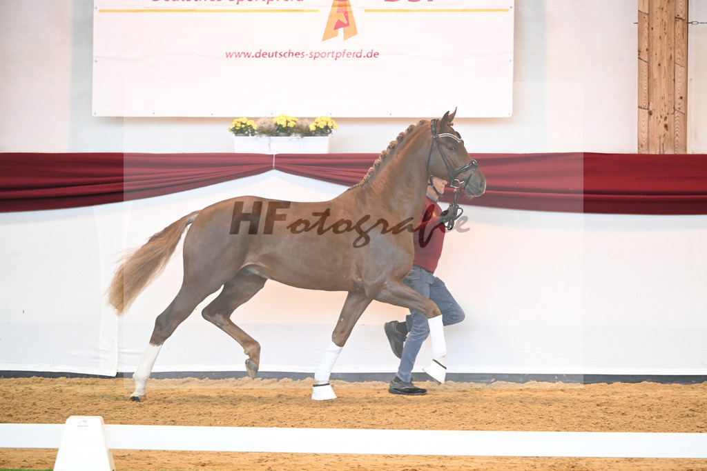 Kat-Nr. 74 v. Le Formidable_Maier_66220323 | hf-fotografie - Realisiert mit Pictrs.com