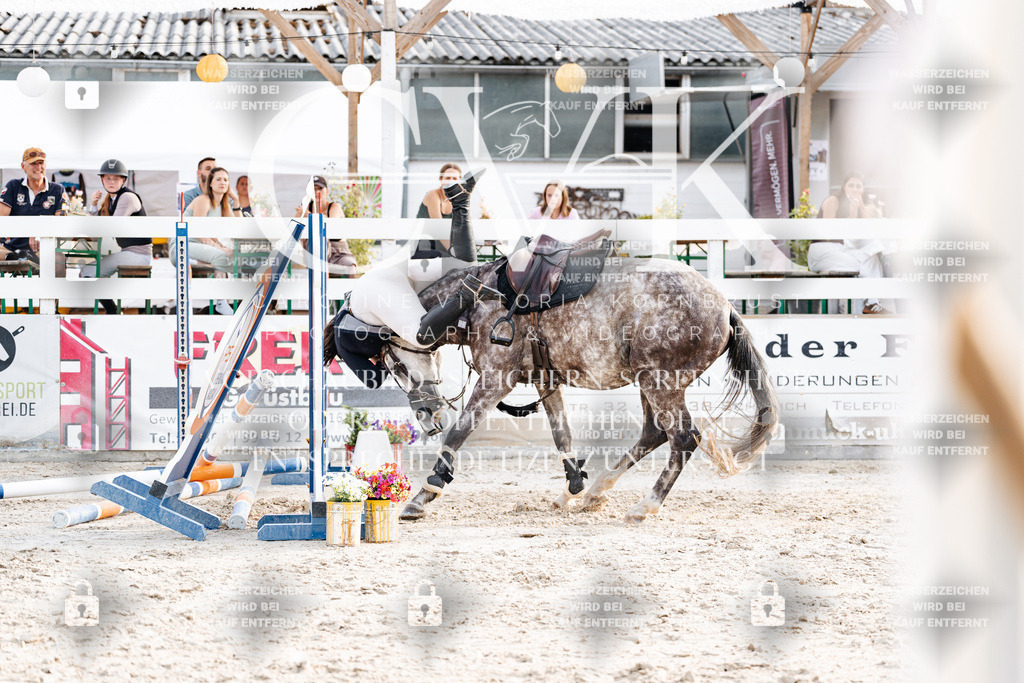CK907046 | Turnierfotografie Pferdefotografie Trier Rheinland-Pfalz Pferdesport Reitsport Tierfotografie Sportfotografie Pferdevideo Pferdevideografie Equestrianvideography equestrianphotography  - Realisiert mit Pictrs.com