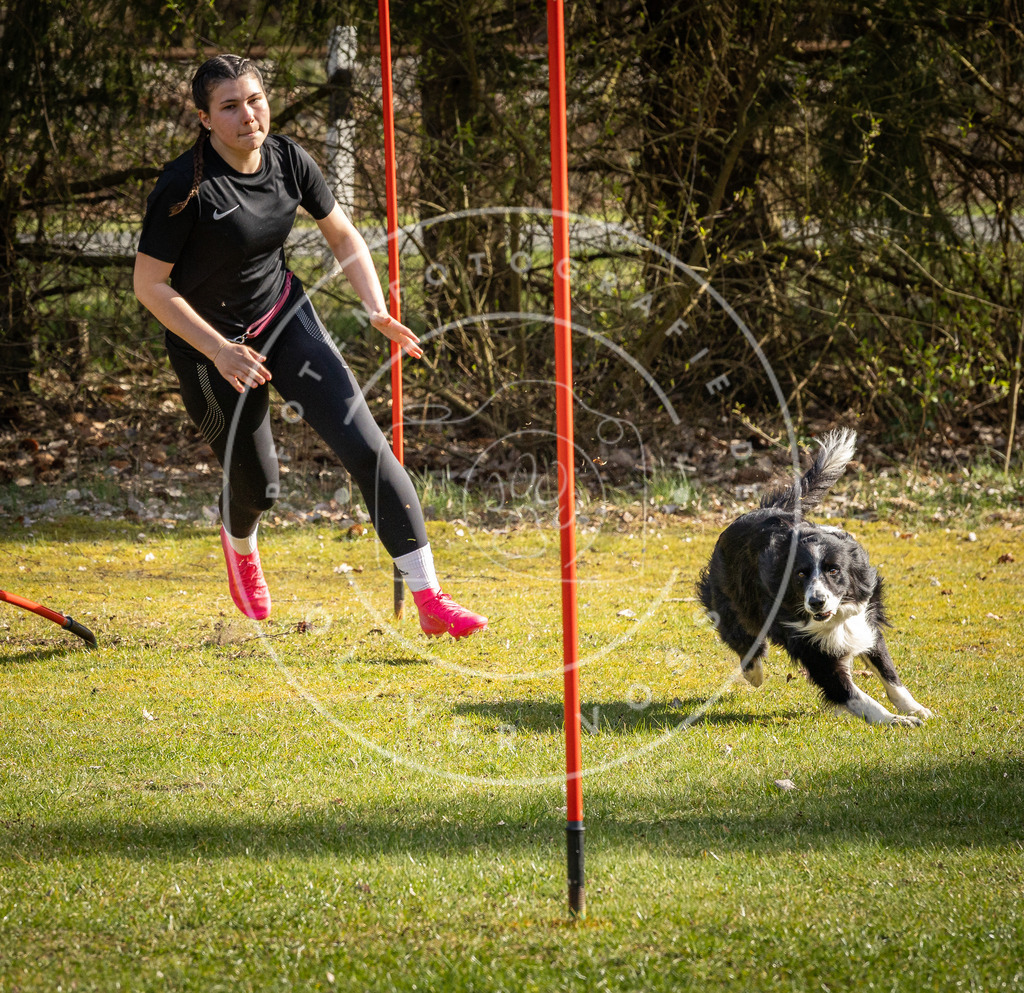 Pfotenfotografie_DV3A2515 | Hundefotografie, Tierfotograf, Pfotenfotografie, Fotoshooting Hund, Hunde Portrait, Hundesport, Hundeportraits, Heideshooting, Hunde, Sportfotograf, Hundefotograf, Turnierhundsport, THS,  - Realisiert mit Pictrs.com