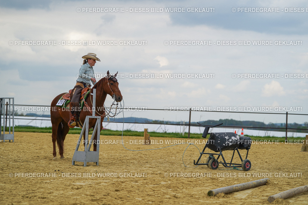 DSC06940 | Pferdegrafie