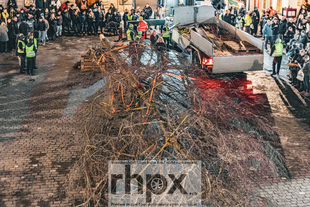 Guuggerbaum 2026 | Stimmungsvolle Fotokunst aus Luzern. Erlebe den Pilatus, den See und die Stadt Luzern in exklusiven Aufnahmen in der Fotogalerie & Shop. - Realisiert mit Pictrs.com