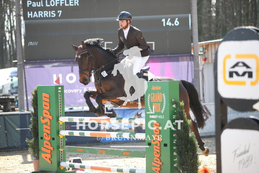 AS8V6071 | Willkommen bei Brunnmayr - Design & Fotografie – Ihrem Spezialisten für Reitturniere und Pferdeveranstaltungen in Oberösterreich, Salzburg und Bayern! Seit über 17 Jahren sind wir leidenschaftlich dabei.