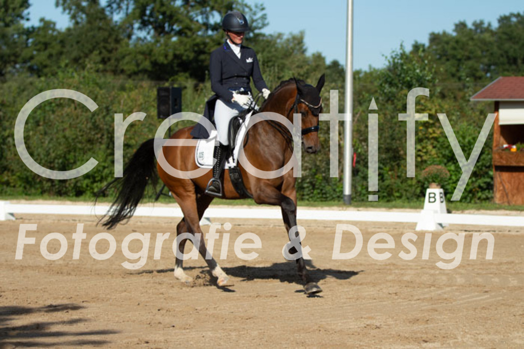 IMG_5557 | Creatify Fotografie