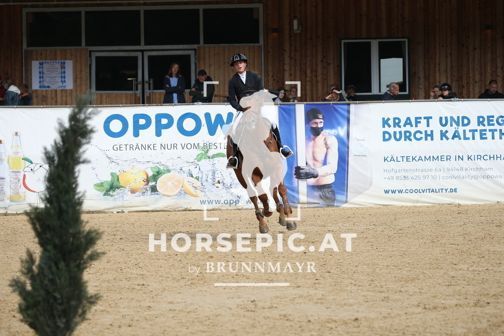 DL2Q4459 | Willkommen bei Brunnmayr - Design & Fotografie – Ihrem Spezialisten für Reitturniere und Pferdeveranstaltungen in Oberösterreich, Salzburg und Bayern! Seit über 17 Jahren sind wir leidenschaftlich dabei.