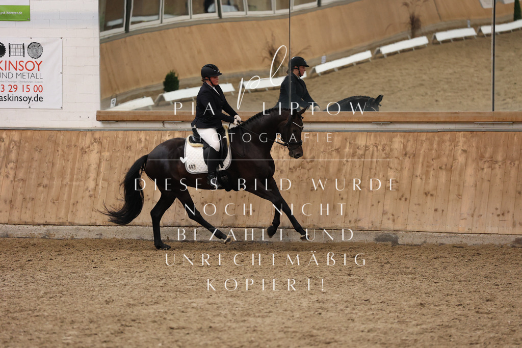 IMGM8262 | pl-fotografie