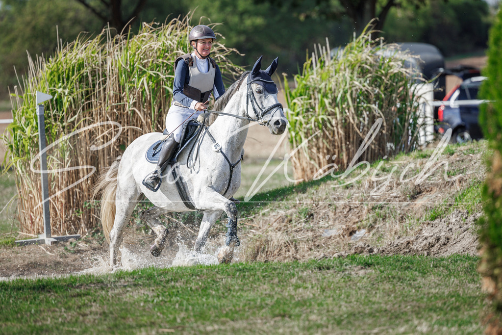 20260905-_3LI0114 | Tierfotografie Pferde, Hunde, Katzen, Haustiere.
Turnierfotografie Reitturniere, Reiten, Springreiten, Dressur in Hanau, dem Main-Kinzig-Kreis und dem Rhein-Main- Gebiet um Frankfurt