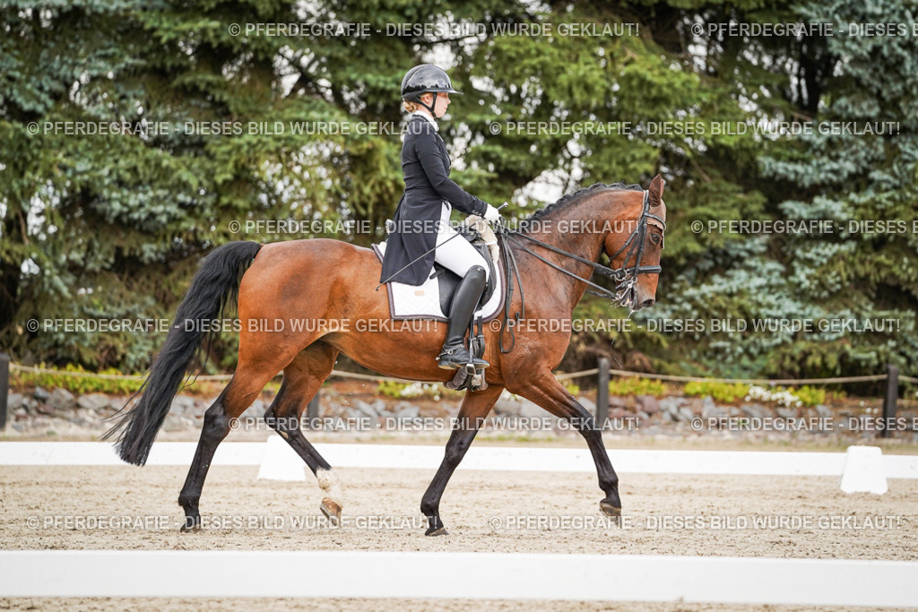 DSC05499 | Pferdegrafie