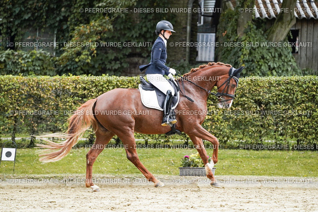 DSC06893 | Pferdegrafie