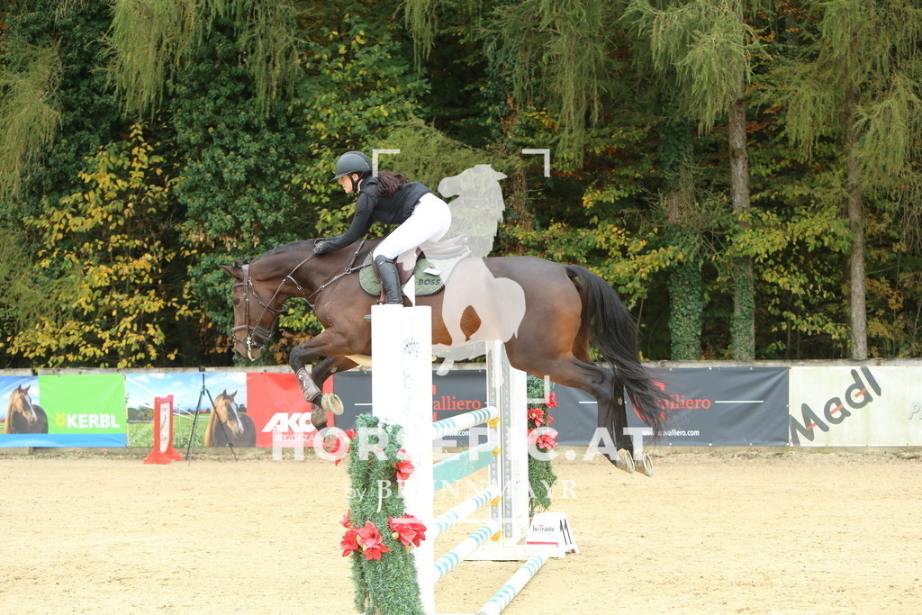 DL2Q6786 | Willkommen bei Brunnmayr - Design & Fotografie – Ihrem Spezialisten für Reitturniere und Pferdeveranstaltungen in Oberösterreich, Salzburg und Bayern! Seit über 17 Jahren sind wir leidenschaftlich dabei.