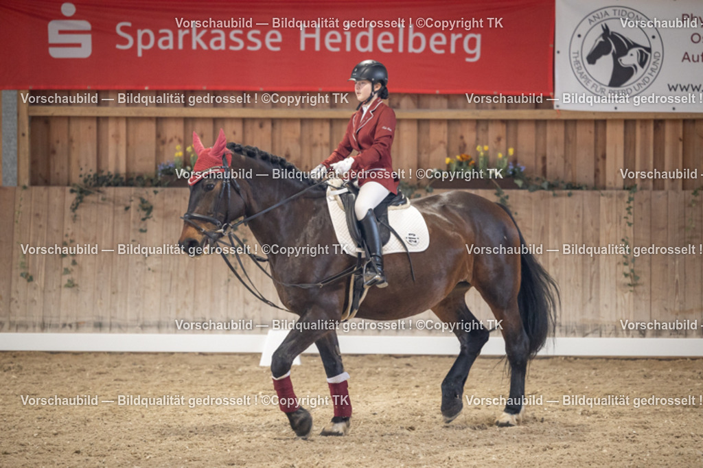 _D5A5622 | Emotionale Pferde- & People-Fotografie rund um Heidelberg, Leimen & Umgebung. Natürliche Fotos von Pferd, Mensch & Familie. Jetzt Termin sichern!