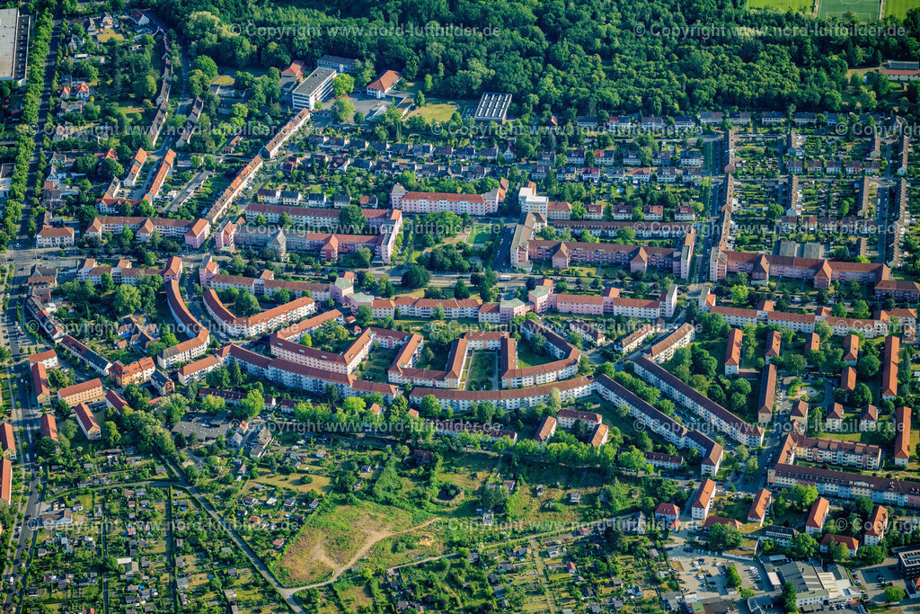 Braunschweig_Siegfriedviertel_ELS_0273050623 | BRAUNSCHWEIG 05.06.2023 Wohngebiet der Mehrfamilienhaussiedlung an der Siegfriedstraße im Ortsteil Siegfriedviertel in Braunschweig im Bundesland Niedersachsen, Deutschland. // Residential area of the multi-family house settlement on street Siegfriedstrasse in the district Siegfriedviertel in Brunswick in the state Lower Saxony, Germany. Foto: Martin Elsen
