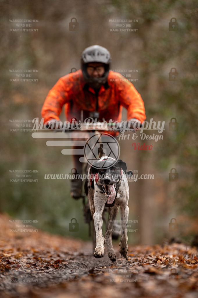 SPA_2023_DIM_Bike-31 | PayLife