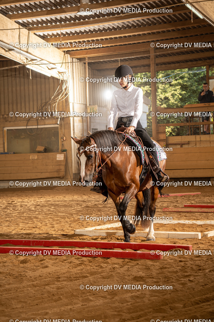 NID02609 | dv-media-shop - Realisiert mit Pictrs.com