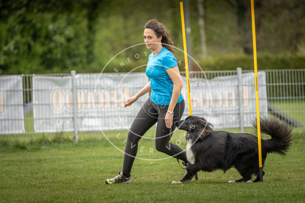 Pfotenfotografie_DV3A1683 | Hundefotografie, Tierfotograf, Pfotenfotografie, Fotoshooting Hund, Hunde Portrait, Hundesport, Hundeportraits, Heideshooting, Hunde, Sportfotograf, Hundefotograf, Turnierhundsport, THS,  - Realisiert mit Pictrs.com