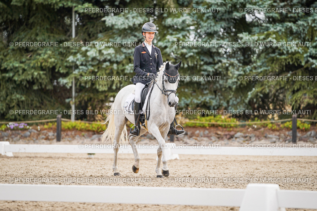 DSC02115 | Pferdegrafie