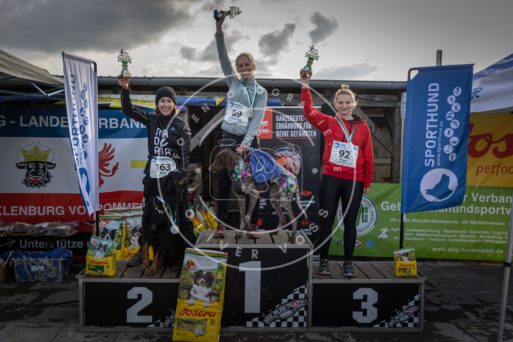 0L8A9183 | Hundefotografie, Tierfotograf, Pfotenfotografie, Fotoshooting Hund, Hunde Portrait, Hundesport, Hundeportraits, Heideshooting, Hunde, Sportfotograf, Hundefotograf, Turnierhundsport, THS,  - Realisiert mit Pictrs.com