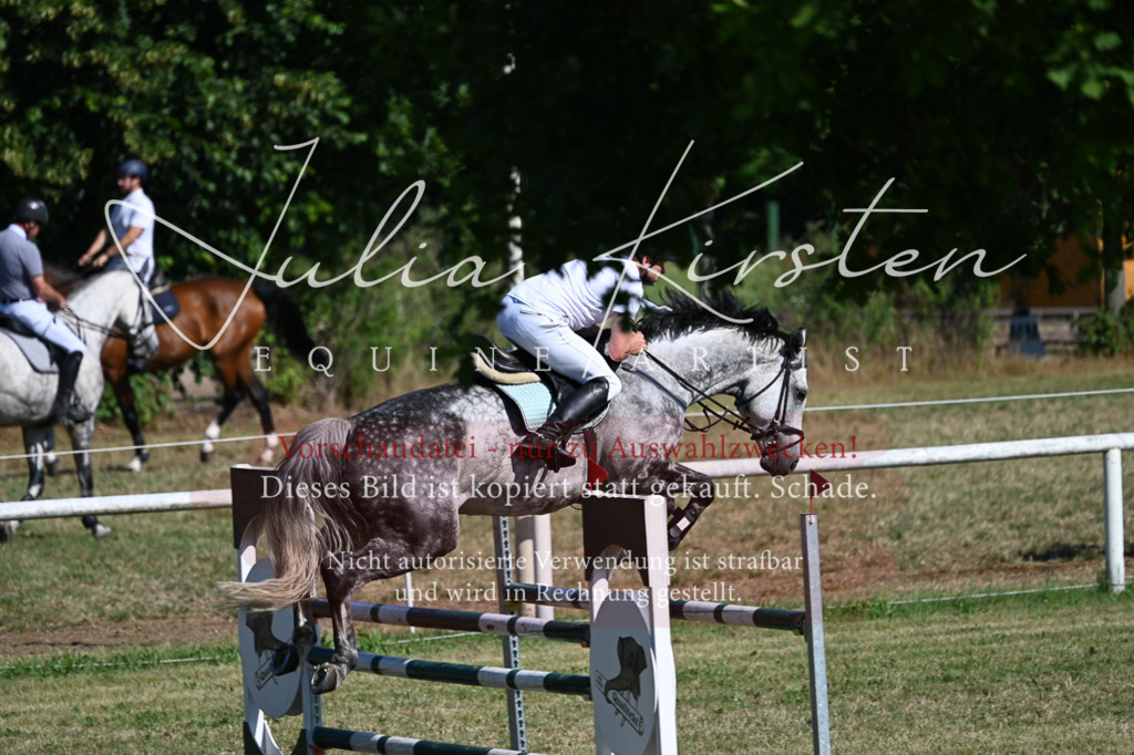 DSC_1871 | Pferde- und Turnierfotografie in Westsachsen. Pferdeportraits, Auftragszeichnungen und intuitive Kunst.