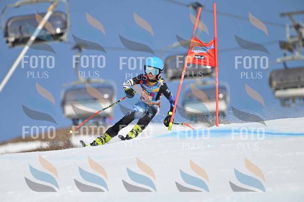 BGV_8878 | holidayphoto