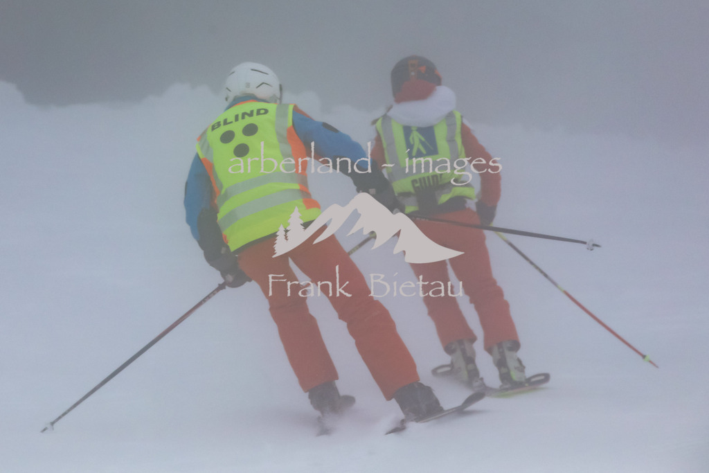 OE7A4468 | Blindski,