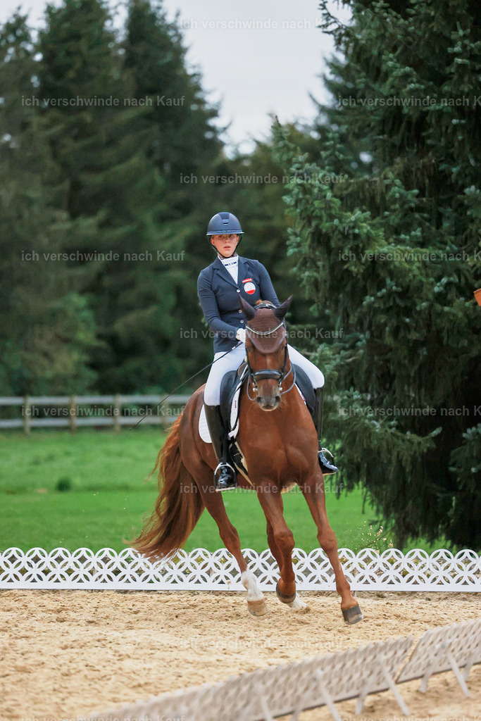 04_2-227-Dressur M__ -StoibPH-3010 | working equitationturnier fotograf videograf stoibphotography marixx film working equitation deutschland reitsport turnierfotografie eventfotografie equestrian events