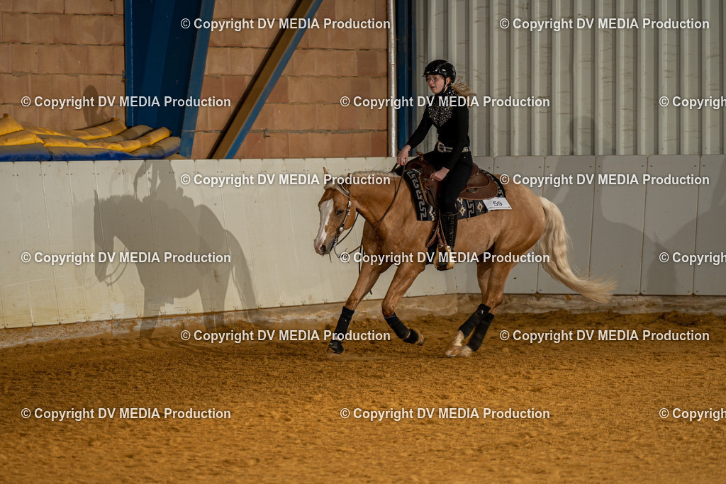 MIT00829 | dv-media-shop - Realisiert mit Pictrs.com