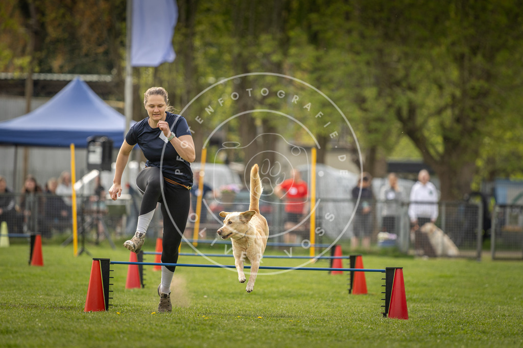 Pfotenfotografie_DV3A5818 | Hundefotografie, Tierfotograf, Pfotenfotografie, Fotoshooting Hund, Hunde Portrait, Hundesport, Hundeportraits, Heideshooting, Hunde, Sportfotograf, Hundefotograf, Turnierhundsport, THS,  - Realisiert mit Pictrs.com