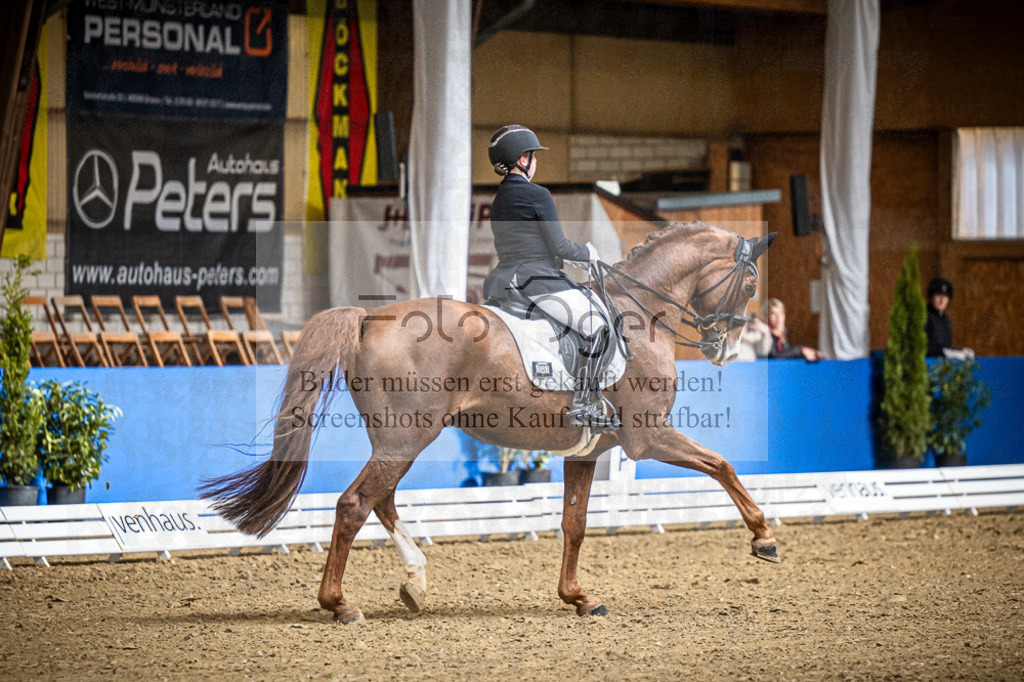 DOS_1165 | Entdecke hochwertige Reitturnierfotos von Foto Oger. Professionell, emotional und authentisch – jetzt Lieblingsmomente im Shop bestellen.Deutschlandweite Turnierfotografie. - Realisiert mit Pictrs.com