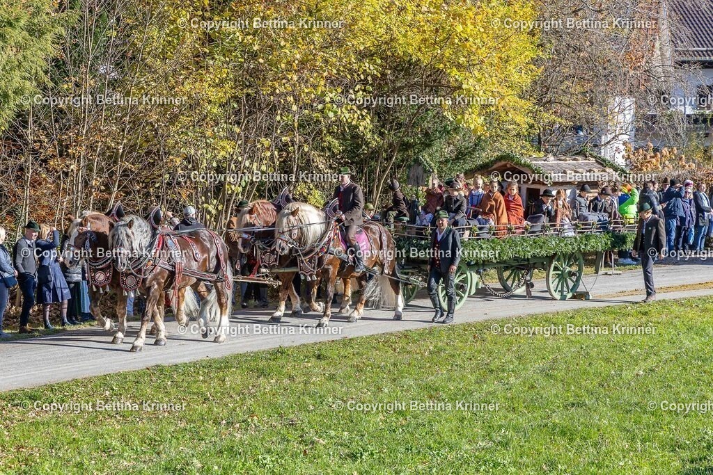LBT25-383 | foto-bettina-krinner - Realisiert mit Pictrs.com