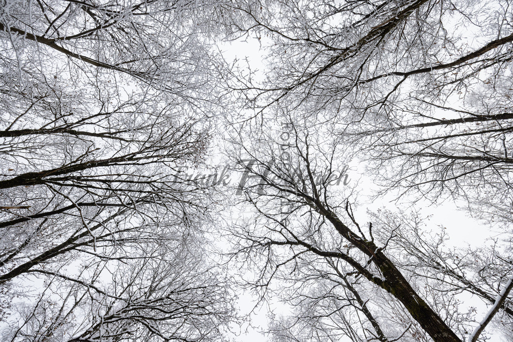 _X0A6591 | Frank Herberich Fotografie, Frank Herberich, Fotografie, Hochzeit, Portrait, St. Peter Ording, Ording, Westerhever, Nordsee, Frank Fotografie, Hardheim,  Odenwald,Walldürn, Band,Eventfotografie - Realisiert mit Pictrs.com