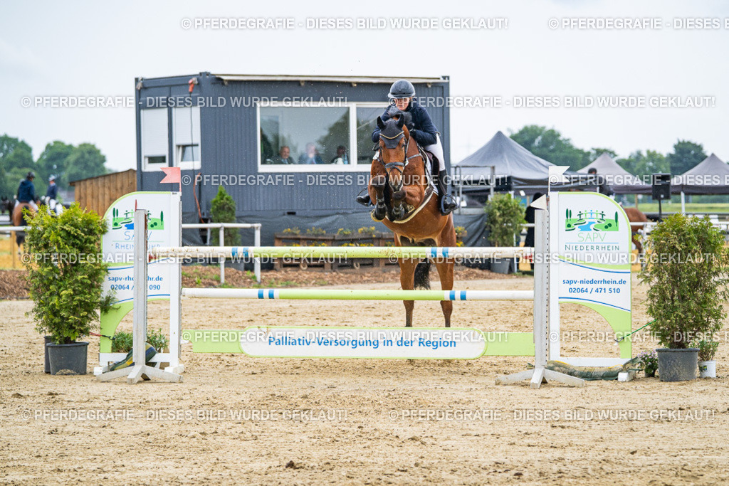 DSC09287 | Pferdegrafie