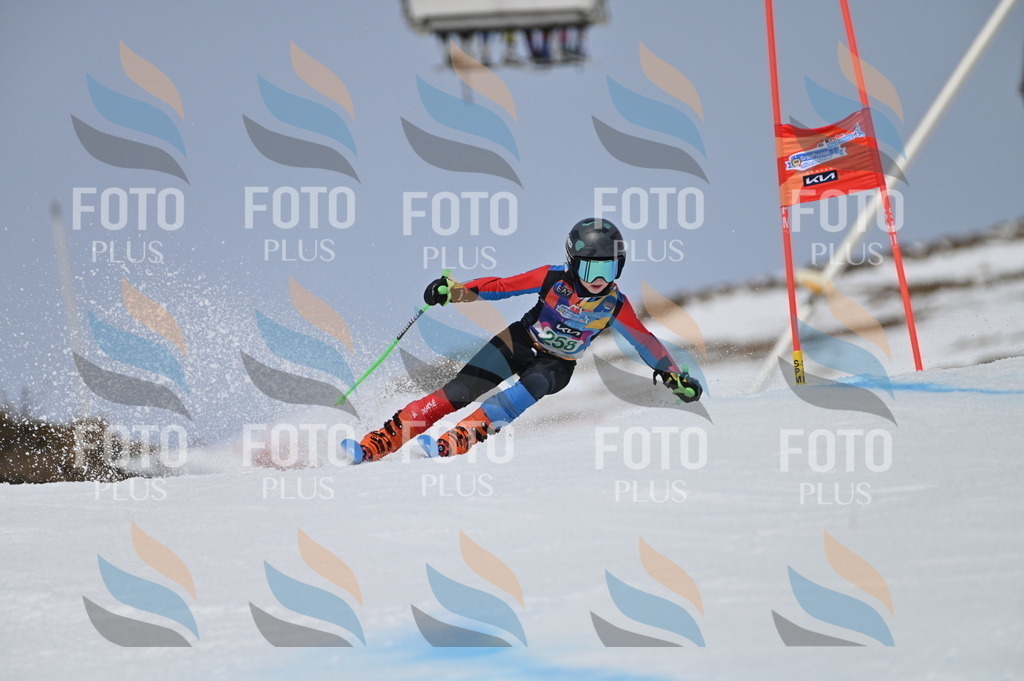 BGV_5109 | holidayphoto