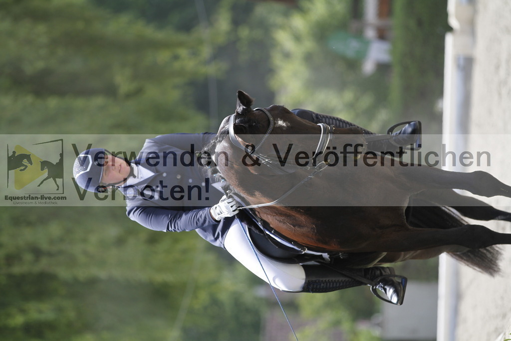 _MG_0025 | equestrian-live-com