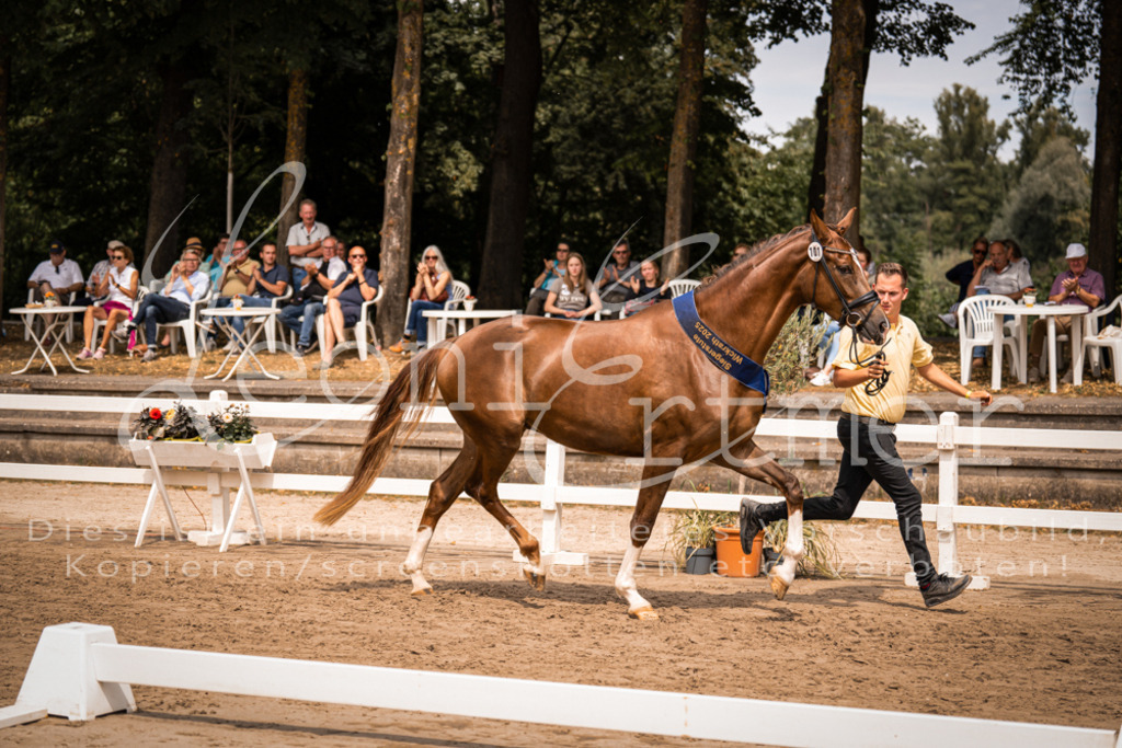 3.Fr00260 | Leoni Ertmer Photography - Realisiert mit Pictrs.com