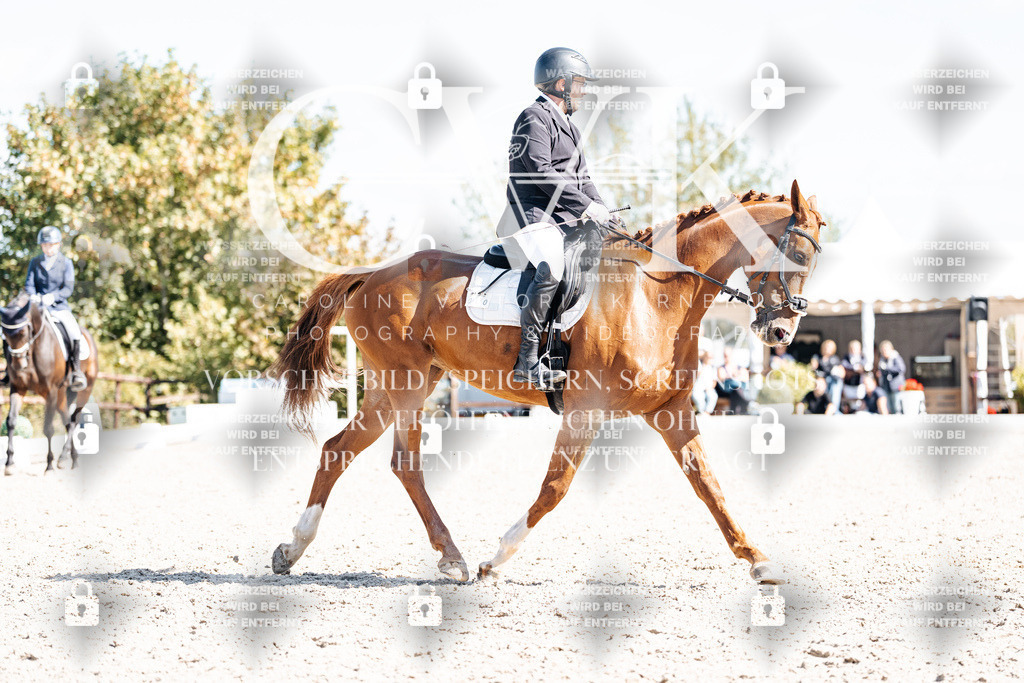 CK903308 | Turnierfotografie Pferdefotografie Trier Rheinland-Pfalz Pferdesport Reitsport Tierfotografie Sportfotografie Pferdevideo Pferdevideografie Equestrianvideography equestrianphotography  - Realisiert mit Pictrs.com